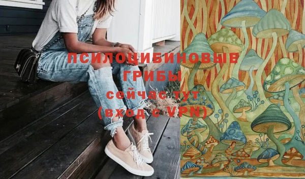 2c-b Алзамай