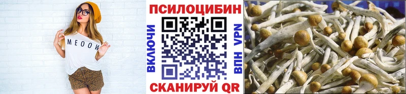 mega ONION  даркнет официальный сайт  Псилоцибиновые грибы ЛСД  купить закладку  Боготол 